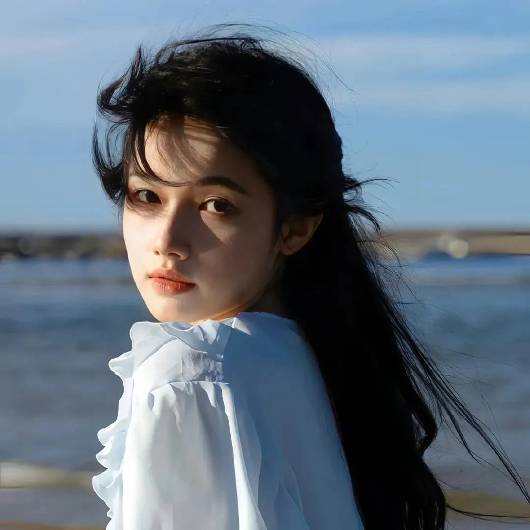 征服太阳 海报