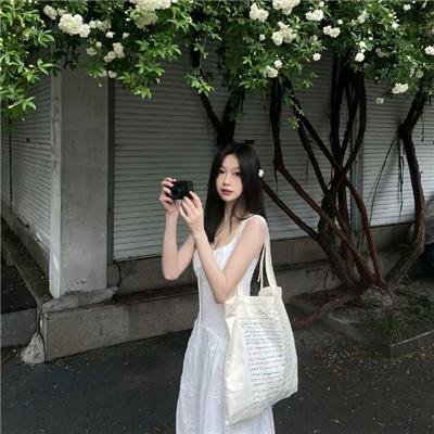 龙潭群英粤语 海报